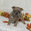 Thumbnail: Pebbles