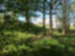 DOMAINE_GEORGES _V_LA_FORET_DE_2,5_HECTARS