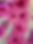 IMG_7225.jpeg