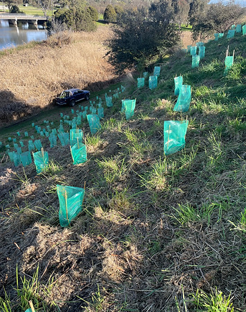 IMG_4614.jpeg