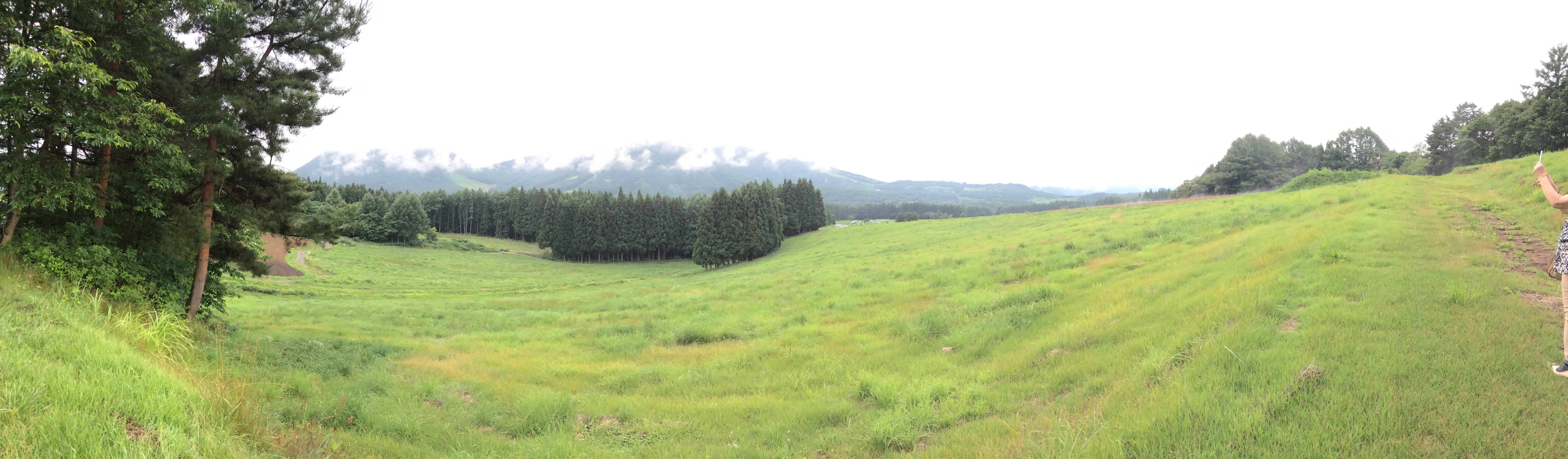 牧場の風景