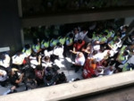 IMG_2334.jpeg