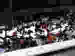 IMG_2334.jpeg