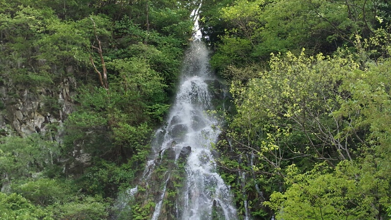 牧場の上流にある幻の滝