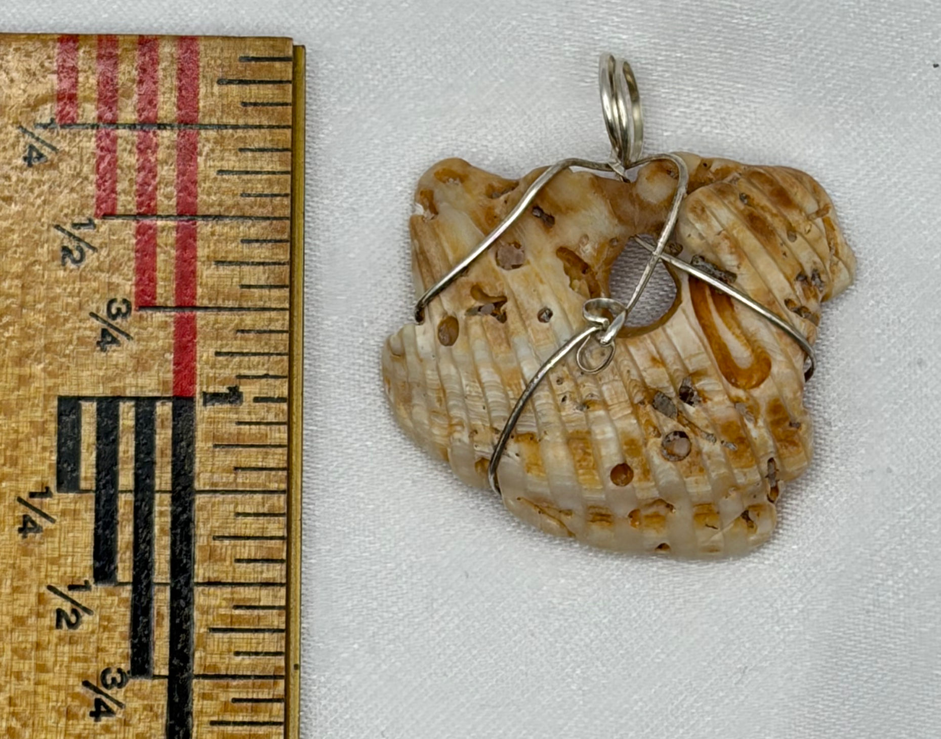 Shell Pendant - Hole-y Shell