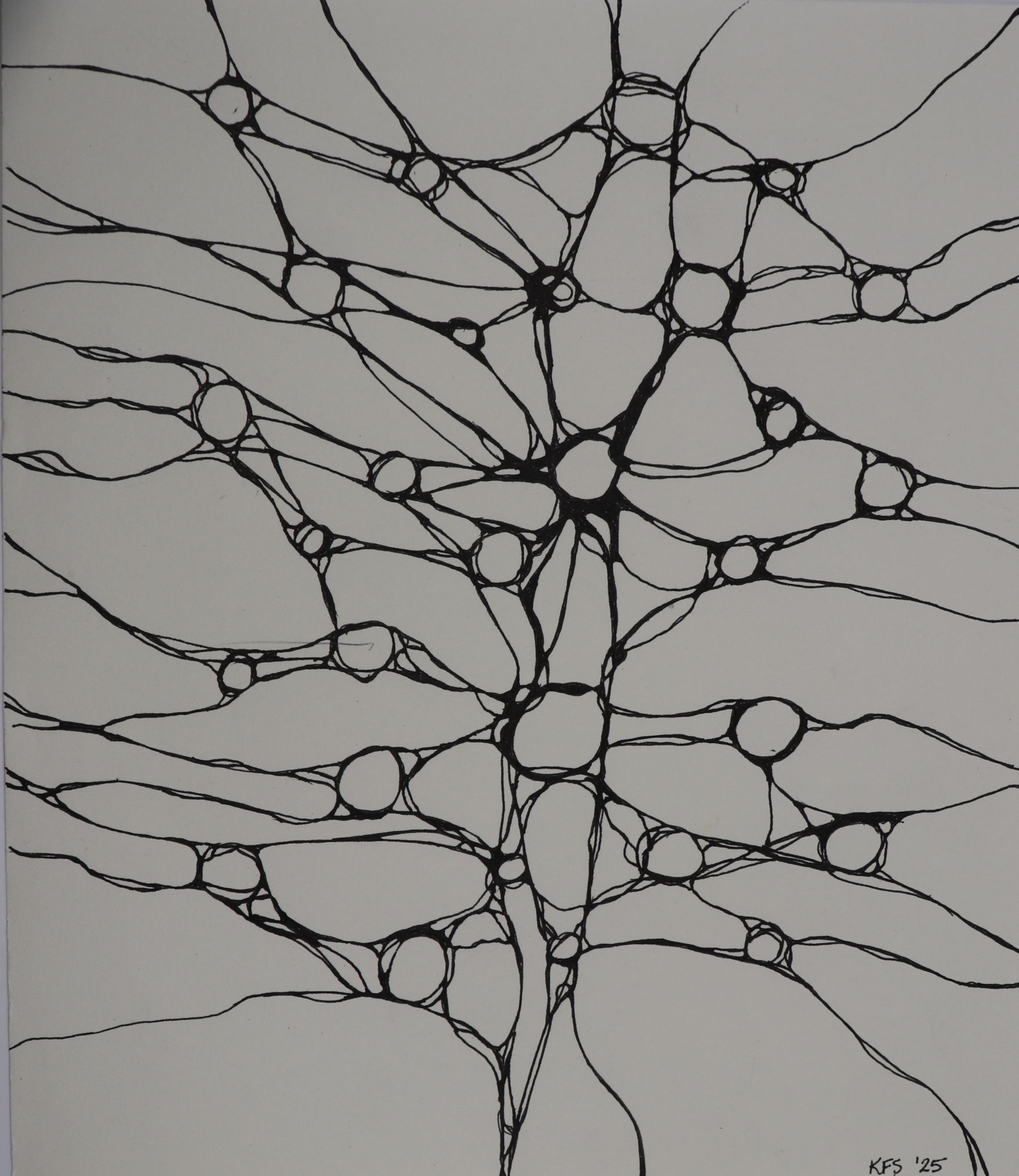 Neurons