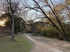 Caminolinderoalarroyo.jpeg