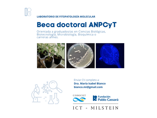 Beca doctoral APCyT