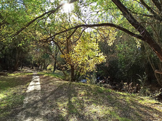 Casa Amai en invierno, jardin nevado