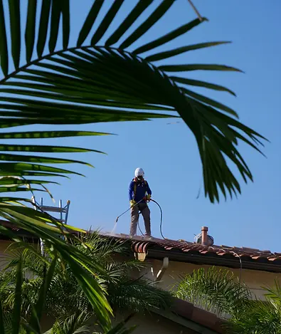 Roof Wash with tree 1.webp