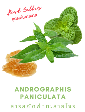 Andrographis paniculata.png