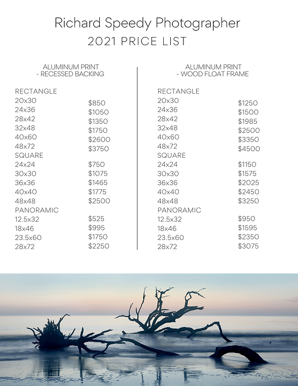 Richard Speedy - PRICING SHEET (2).png