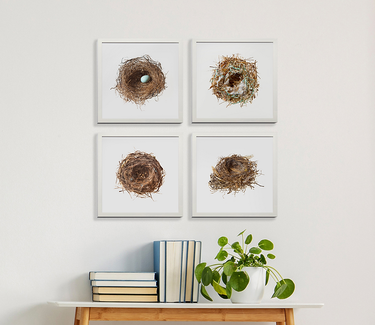 Nest Grouping (2).png