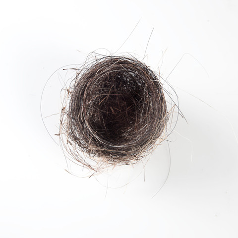 Horse Hair Nest #4