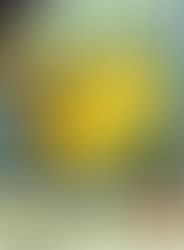 Fay Sciarra Featured in the Makers Alley Fall Art + Design Exhibition