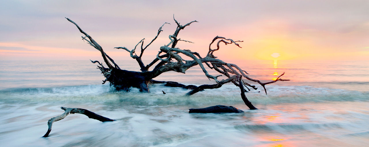 12-JELYLL SUNRISE-2.jpeg