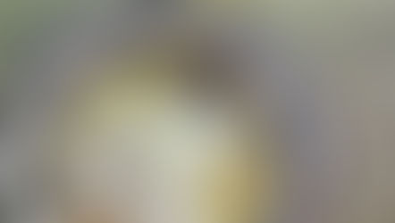 Lapte de pasăre, desertul iubit de către toată familia