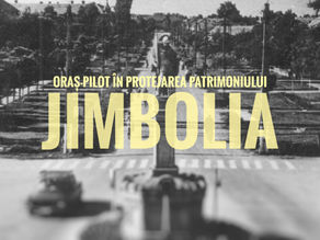 Jimbolia este oraș-pilot pentru protejarea patrimoniului!