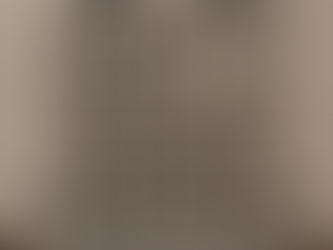 De la emfaza barocă, la rigurozitatea Art Deco. Însemnări pe marginea expoziției dedicate arhitectului Michael Wolf găzduită de MNArT