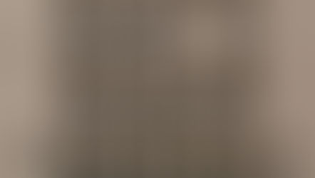 De la emfaza barocă, la rigurozitatea Art Deco. Însemnări pe marginea expoziției dedicate arhitectului Michael Wolf găzduită de MNArT