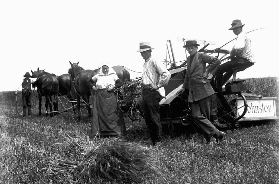 Lucrări agricole la câmp, 1929; Foto: Josef-Franz Engelmann, Heimatblatt 2005