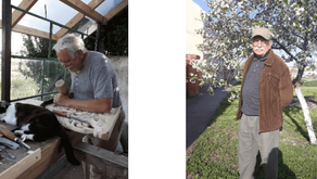 Cine este Vasile Chici - artistul din Jimbolia care sculptează în lemn?