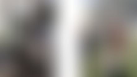 Cine este Vasile Chici - artistul din Jimbolia care sculptează în lemn?