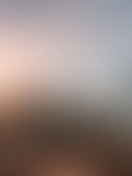 Legal Details to Focus on in a New York Real Estate Transaction