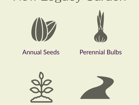 Growing a New Legacy Garden: A Framework for Social Justice Giving