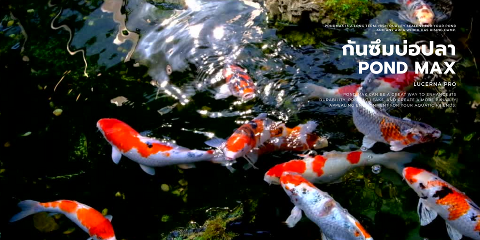 กันซึมบ่อปลา สีทาบ่อปลา,ปกป้องไม้ เคลือบไม้กันน้ำ, กันซึม, ซ่อมบ้าน, รีโนเวทบ้าน, เคมี, ซ่อมรอยร้าว, Epoxy Polyurethane, Polyurea, Polyaspartic, PMMA, Coating, กาว, กันสนิม, กำจัดสนิม, รองพื้น, ซ่อมพื้นแตก, ซ่อมกำแพงแตก, สีทาบ้าน, ดาดฟ้า, น้ำรั่ว, หลังคารั่ว, โป๊วกำแพง, โป๊วผนัง, โป๊ว, ยาแนว, พื้นยาง, EPDM, พื้นทรายล้าง, สีทาบ่อปลา, กาวตะปู, กันซึมผสมปูน, ปูนซีเมนต์, กาวติดรองเท้า, กาวซ่อมรองเท้า