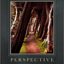 Perspective