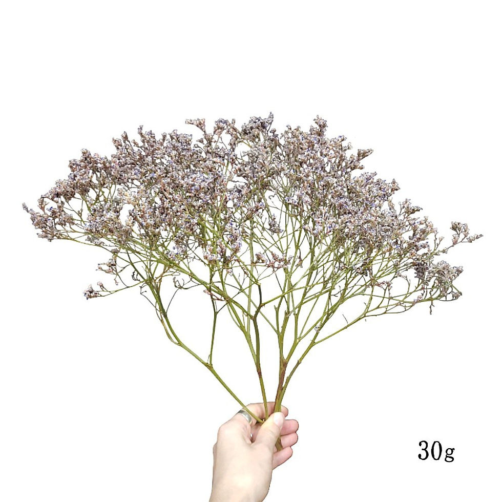 Thumbnail: Premium Statice Purple/Blue Flowers (UK)