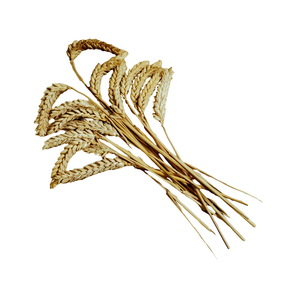 Thumbnail: Wheat stems 