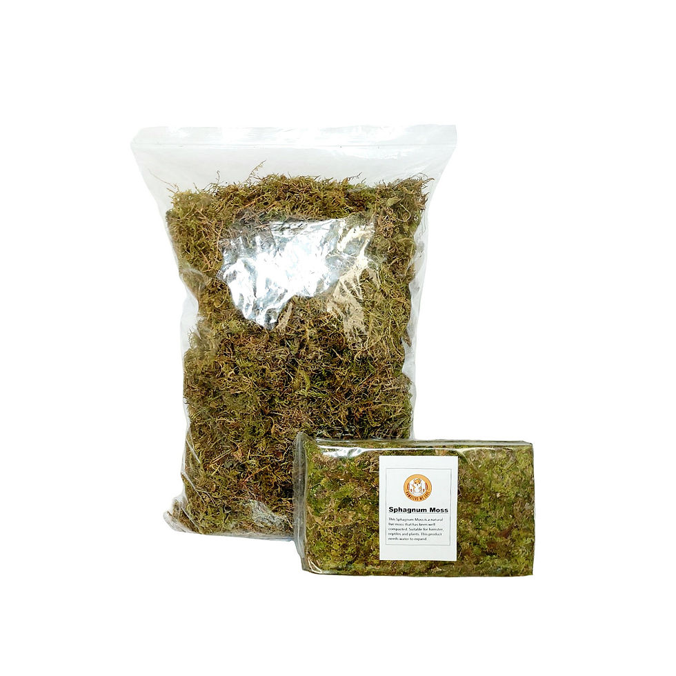 Thumbnail: Sphagnum Moss Block 