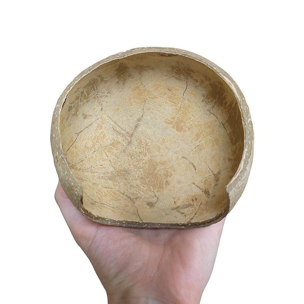 Thumbnail: Large Coconut Hide