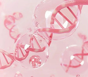 _ - 2026-01-17T140709.262.jpeg