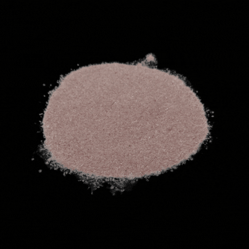 SHOP Lions Pride Barbell