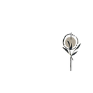 SIGNÉ MARIE (29).png