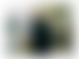 POURQUOI NOUS AVONS CHOISI D'AVOIR UN ENFANT UNIQUE