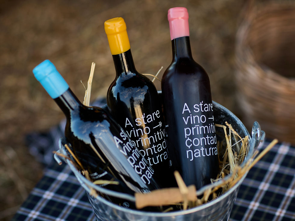 Miniatura: Degustazione Primitivo e Aperitivo Masseria Torrelunga -per persona cod. 2026-06