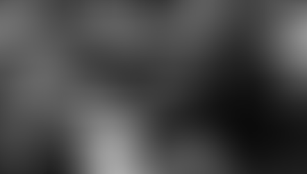 DarkMark Surfboards new board