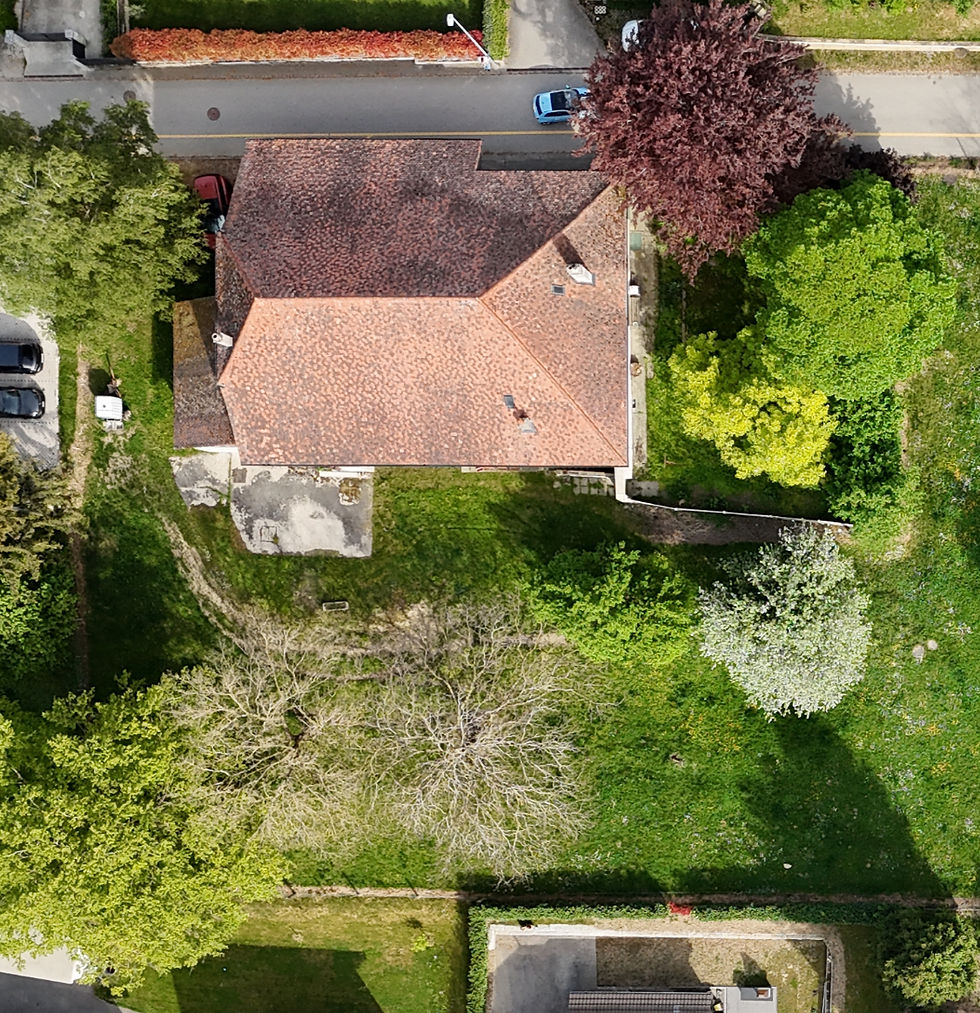 dji_fly_20260427_173322_0216_1777316582972_photo_edited.jpg