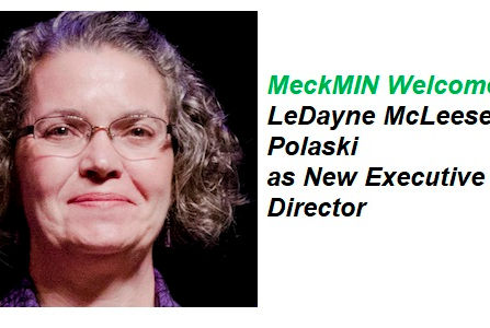 MeckMIN Welcomes LeDayne McLeese Polaski as New Executive Director