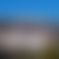 OMNI MOUNT WASHINGTON RESORT