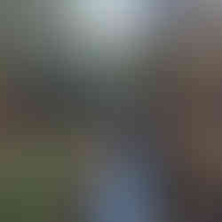 Ruisseau dans la forêt