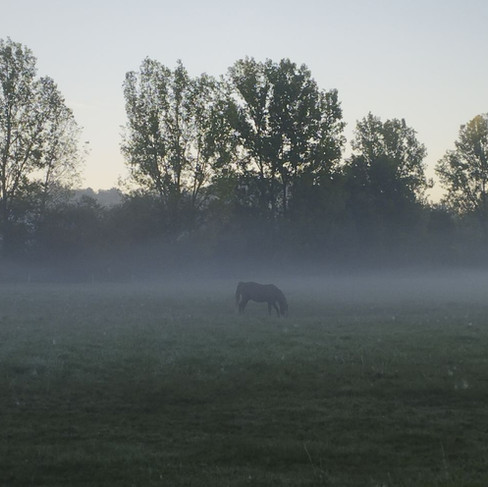Paysages entre Marciac et Vidouze en France