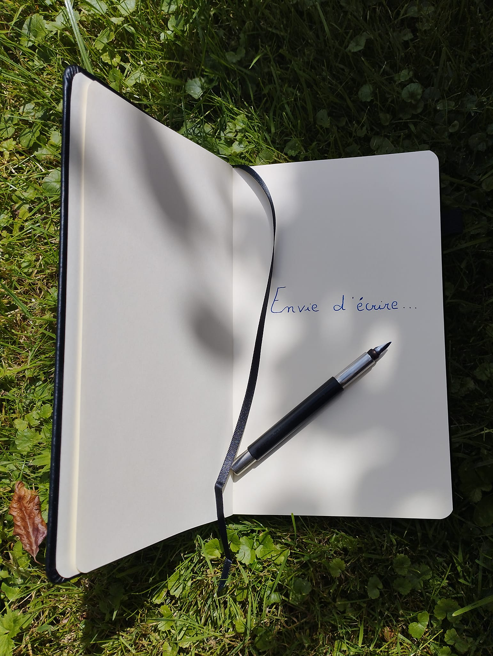 Un carnet ouvert. Il est posé sur l'herbe. Dessus, un stylo et la phrase "Envie d'écrire"