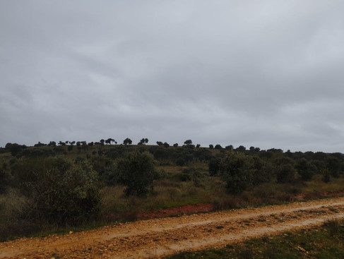 Paysages entre Santibanez de Valdeiglesia et Rabanal del Camino en Espagne