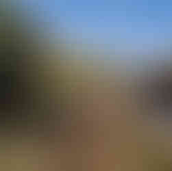 Chemin le long du Canal du Midi en France