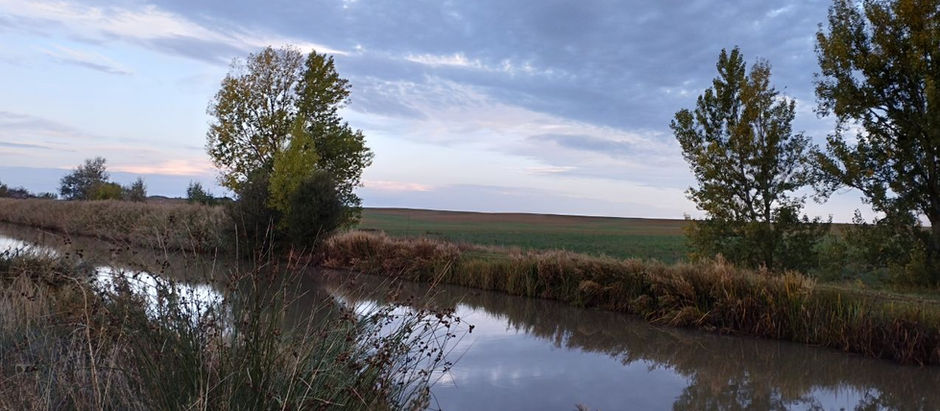 Paysages entre Itero de la Vega – Villacazar de Sirga